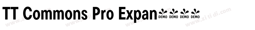 TT Commons Pro Expan字体转换 TT Commons Pro Expan字体转换
